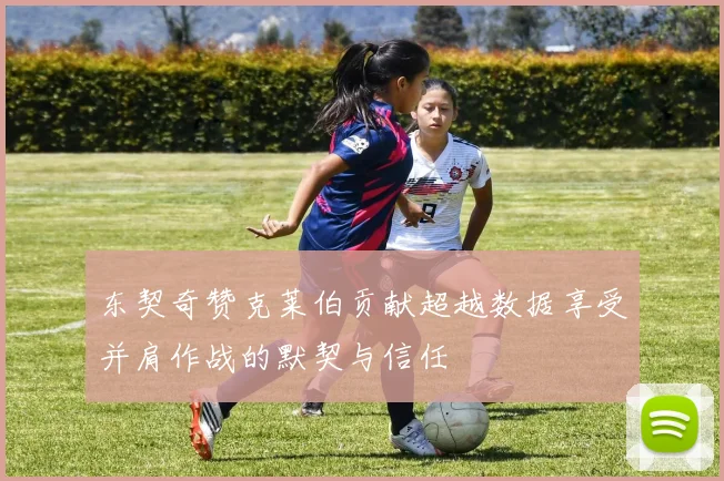 东契奇赞克莱伯贡献超越数据享受并肩作战的默契与信任